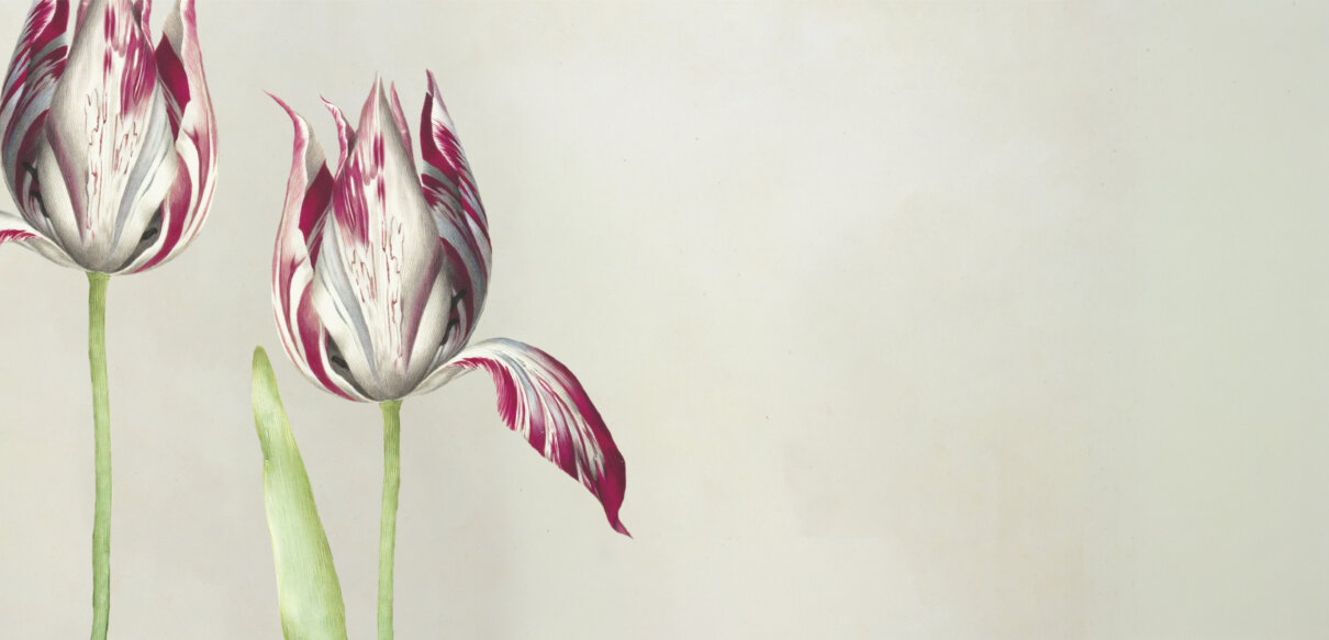 innanjaggår_Hemsidesbanner